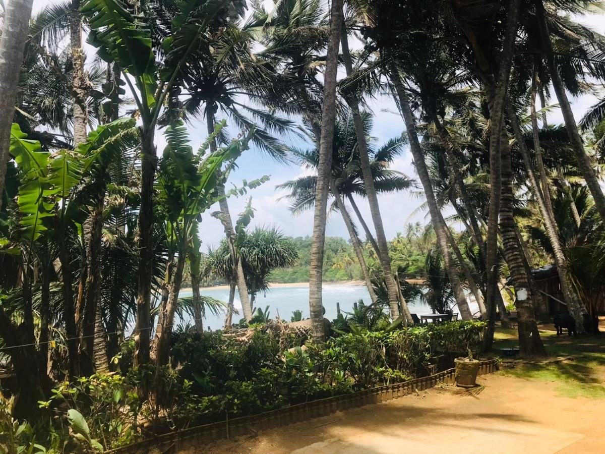 Surf Home Stay Hiriketiya Dikwella Esterno foto